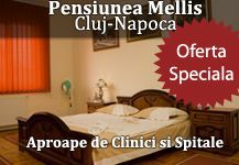 Pensiunea Mellis