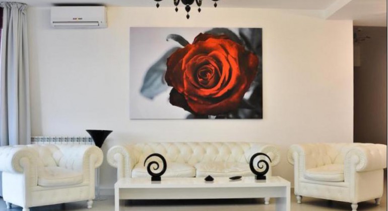 Hotels Alex-George Boutique Cluj-Napoca