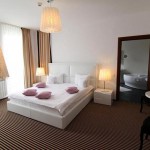 Hotels Alex-George Boutique Cluj-Napoca