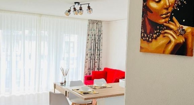 Apartments for rent Andreia Cluj-Napoca