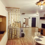 Regim Hotelier Apartament 406 Cluj-Napoca