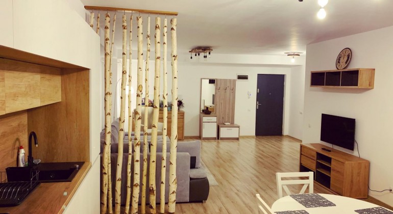 Regim Hotelier Apartament 406 Cluj-Napoca