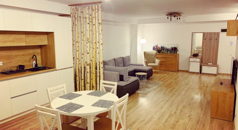 Regim Hotelier Apartament 406 Cluj-Napoca