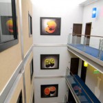 Hotel Best Western Plus Fusion Floresti