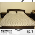 Apartments for rent Calea Turzii Cluj-Napoca