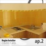 Apartments for rent Calea Turzii Cluj-Napoca