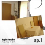 Apartments for rent Calea Turzii Cluj-Napoca