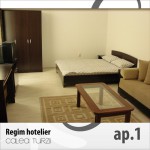 Apartments for rent Calea Turzii Cluj-Napoca