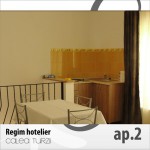 Apartments for rent Calea Turzii Cluj-Napoca