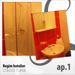 Apartments for rent Calea Turzii Cluj-Napoca