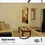 Apartments for rent Calea Turzii Cluj-Napoca
