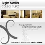 Apartments for rent Calea Turzii Cluj-Napoca