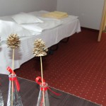 Pensiunea Caramell Cluj-Napoca