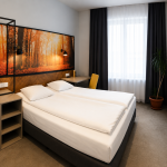 Pensiunea Casa Boca Cluj-Napoca