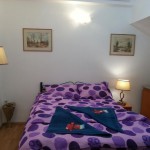 Regim Hotelier Casa langa Primarie Cluj Cluj-Napoca