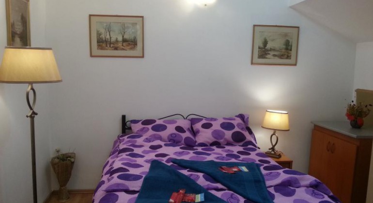 Regim Hotelier Casa langa Primarie Cluj Cluj-Napoca