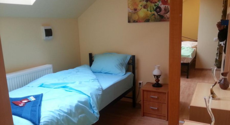 Regim Hotelier Casa langa Primarie Cluj Cluj-Napoca