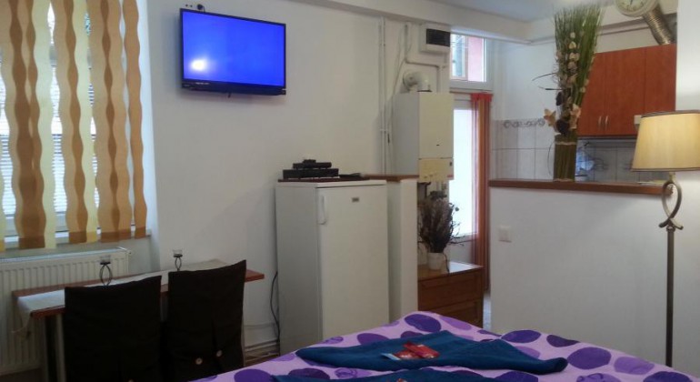 Regim Hotelier Casa langa Primarie Cluj Cluj-Napoca