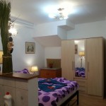 Apartments for rent Casa langa Primarie Cluj Cluj-Napoca