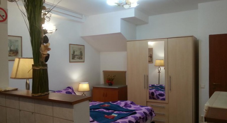 Regim Hotelier Casa langa Primarie Cluj Cluj-Napoca