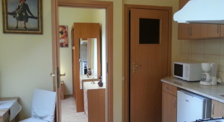 Regim Hotelier Casa langa Primarie Cluj Cluj-Napoca