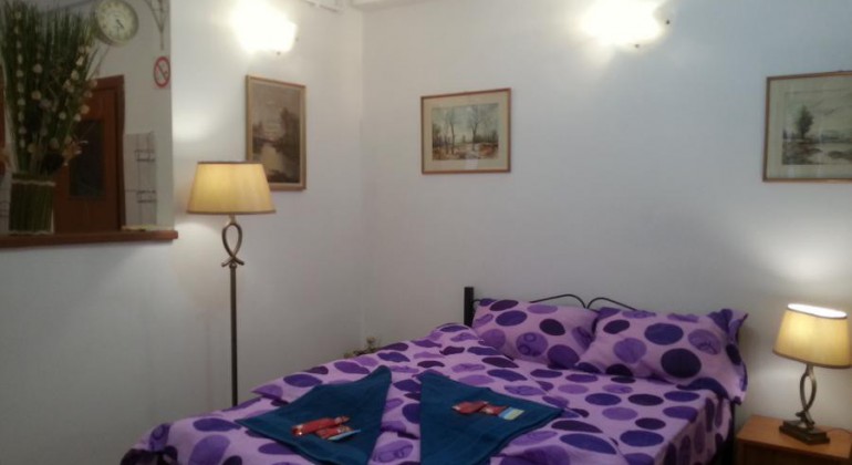 Regim Hotelier Casa langa Primarie Cluj Cluj-Napoca