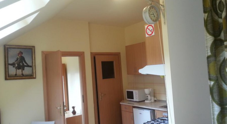 Regim Hotelier Casa langa Primarie Cluj Cluj-Napoca