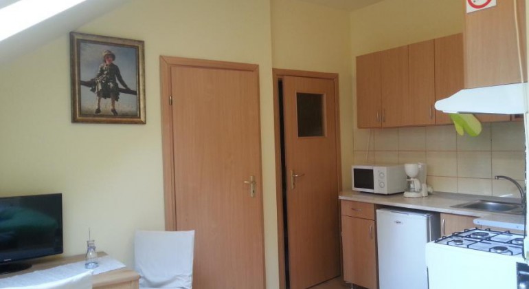 Apartments for rent Casa langa Primarie Cluj Cluj-Napoca