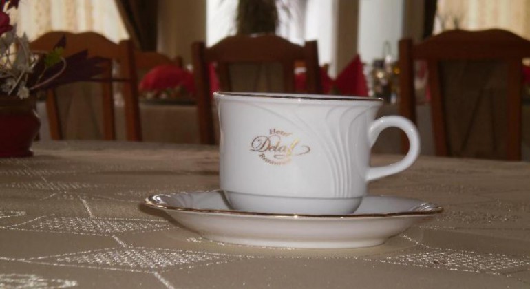 Hotel Delaf Cluj-Napoca