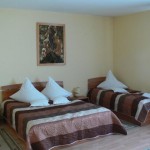 Hotel Delaf Cluj-Napoca