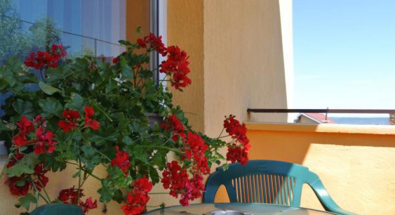 Pensiunea Ester Cluj-Napoca