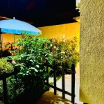 Regim Hotelier Onita Pop Cluj-Napoca