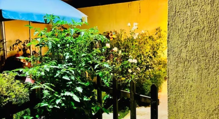 Regim Hotelier Onita Pop Cluj-Napoca