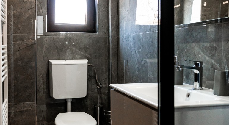 Pension Pensiunea Casa Darius Cluj Cluj-Napoca