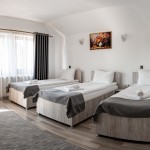 Pension Pensiunea Casa Darius Cluj Cluj-Napoca