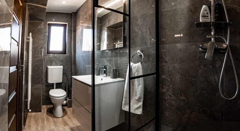 Pension Pensiunea Casa Darius Cluj Cluj-Napoca