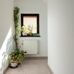 Pension Pensiunea Casa Darius Cluj Cluj-Napoca