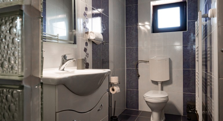 Pension Pensiunea Casa Darius Cluj Cluj-Napoca