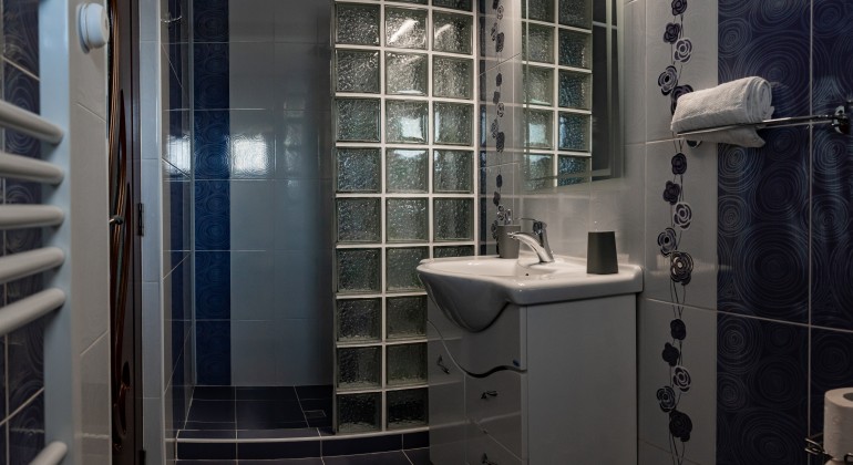 Pension Pensiunea Casa Darius Cluj Cluj-Napoca