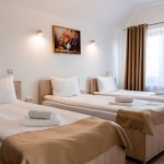 Pension Pensiunea Casa Darius Cluj Cluj-Napoca