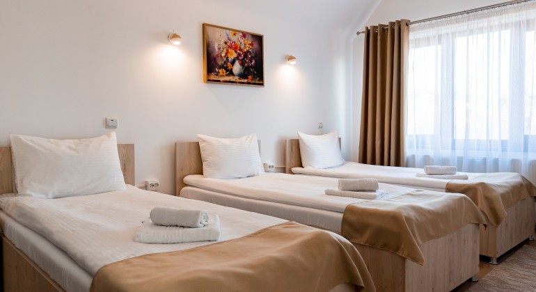 Pension Pensiunea Casa Darius Cluj Cluj-Napoca