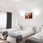 Pension Pensiunea Casa Darius Cluj Cluj-Napoca