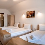 Pension Pensiunea Casa Darius Cluj Cluj-Napoca