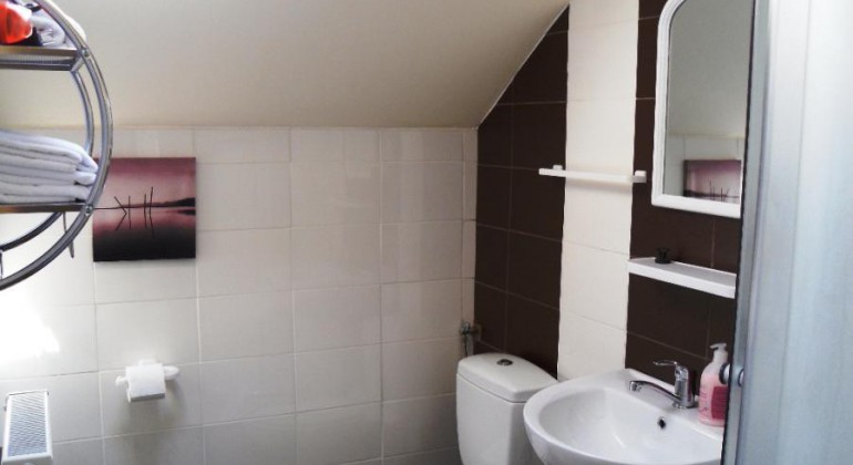 Vila Rosetti Cluj-Napoca