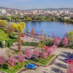 Pensiunea Colibri Cluj-Napoca