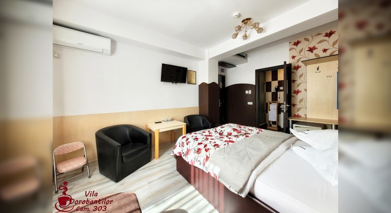Vila Dorobantilor Cluj-Napoca
