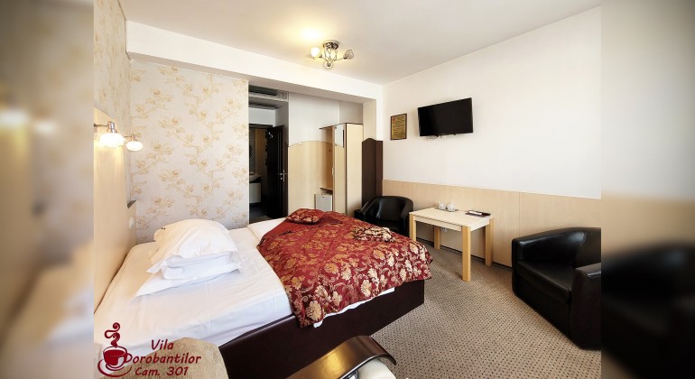 Vila Dorobantilor Cluj-Napoca