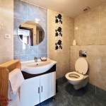 Vila Dorobantilor Cluj-Napoca