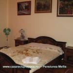 Panzió Mellis Cluj-Napoca