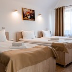 Pension Pensiunea Casa Darius Cluj Cluj-Napoca
